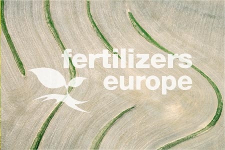 Przedstawiciele Grupy Azoty w zarządzie Fertilizers Europe.